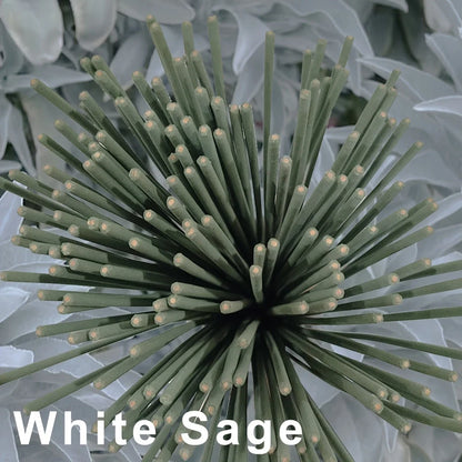 Smoke for What You’re Releasing – White Sage (8.66")